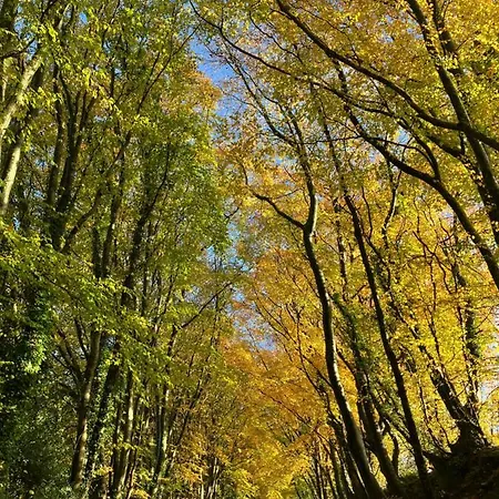 Au Fil De L'eau Couette-café Le Vast