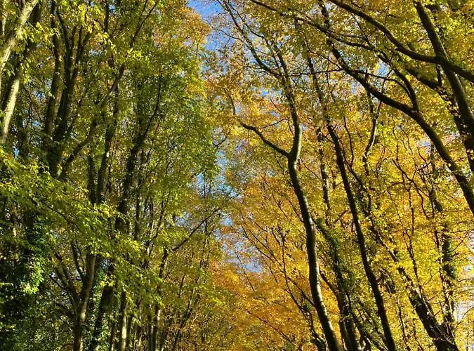 Au Fil De L'eau ベッド・アンド・ブレックファスト Le Vast